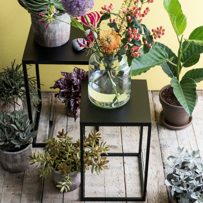 207009-x2.jpg (1132456)