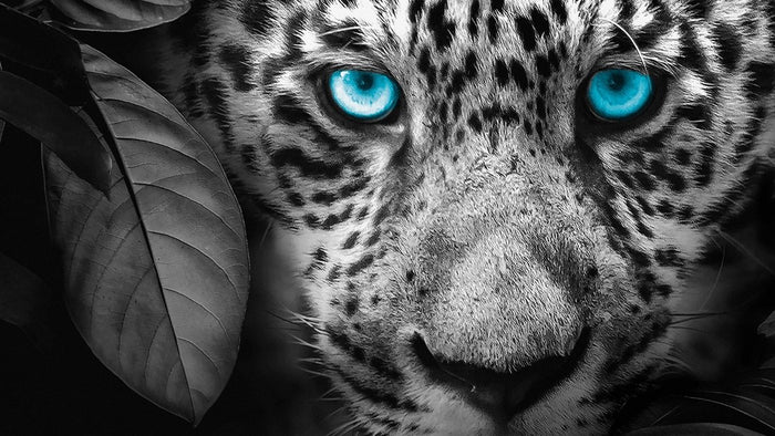 Pure Dekbedovertrek 200 x 220 cm