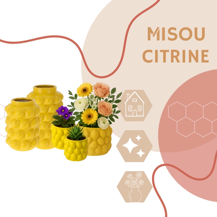 MISOU Citroenvaas 5 soorten Bloempot met Citroenen Citroenvaas Plan...