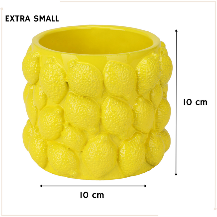 MISOU Citroenvaas 5 soorten Bloempot met Citroenen Citroenvaas Plan...