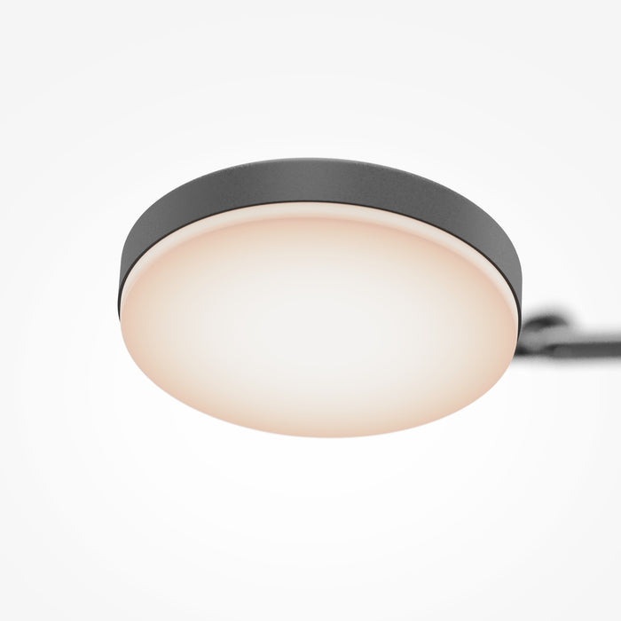 Maytoni - Plafondlamp Fad - Metaal - Zwart