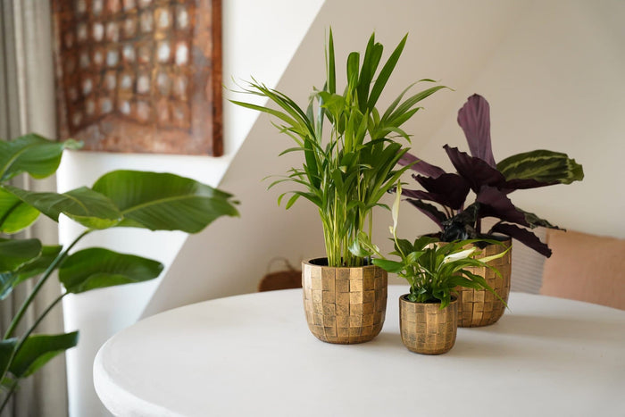 Capi Europe - Pot bol Blocks - 24x21 - Beige