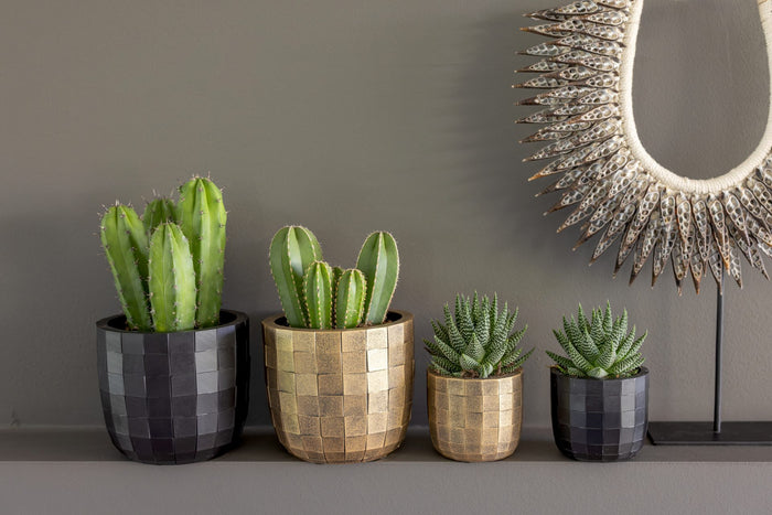 Capi Europe - Pot bol Blocks - 14x13 - Zwart