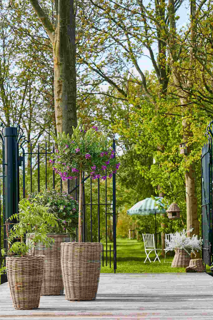 Mica Decorations Mand Marcia - 48x48x70 cm - Rotan - Grijs - Set van 3