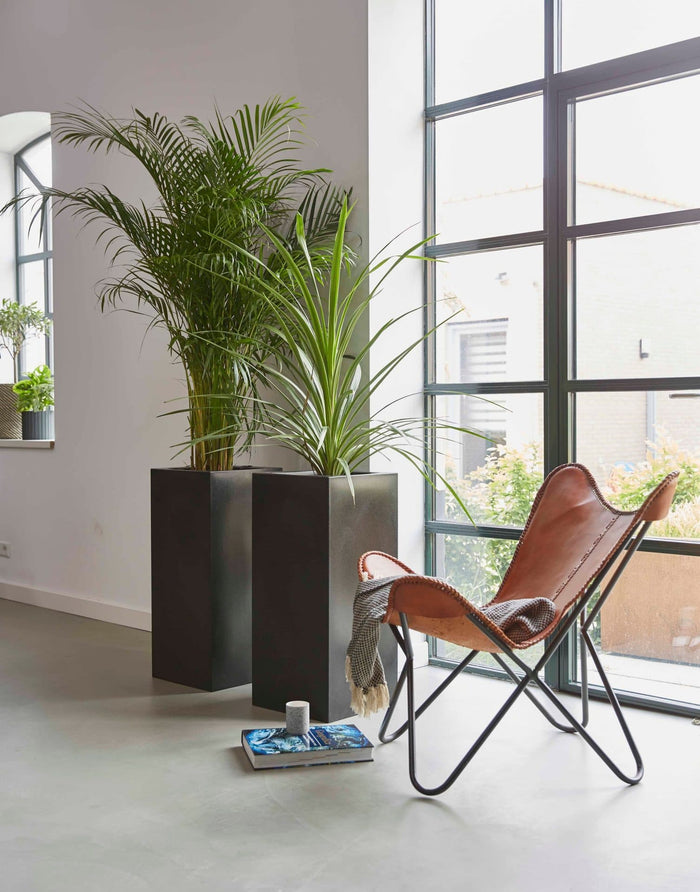 Capi Europe - Pot rechthoek Smooth NL - 36x79 - Beige