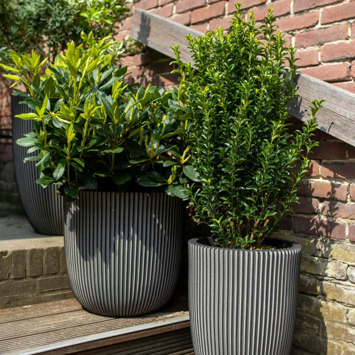 Capi Europe - Vaas elegant laag Groove NL - 34x46 - Beige