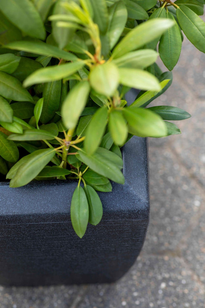 Capi Europe - Bak rechthoek hoog Arc Granite - Zwart - 88x36x100