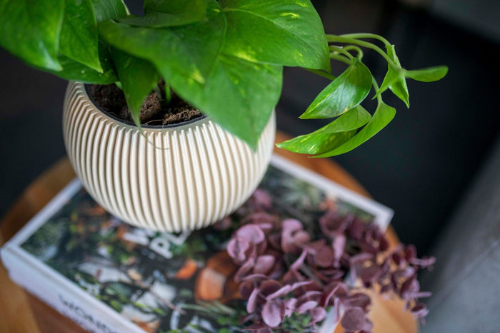 Capi Europe - Vaas bol Groove - 12x10 - Grafietgrijs