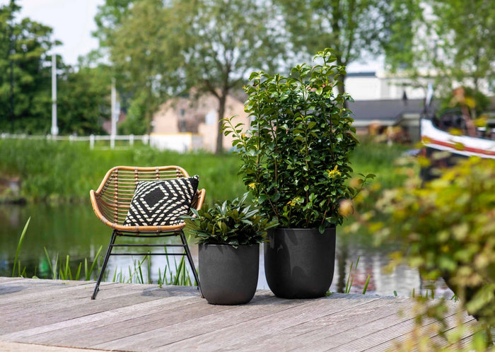 Capi Europe - Pot bol Smooth NL - 35x34 - Beige