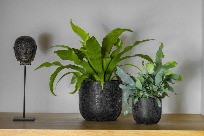 Capi Europe - Pot bol Skin - 9x8 - Zwart beige