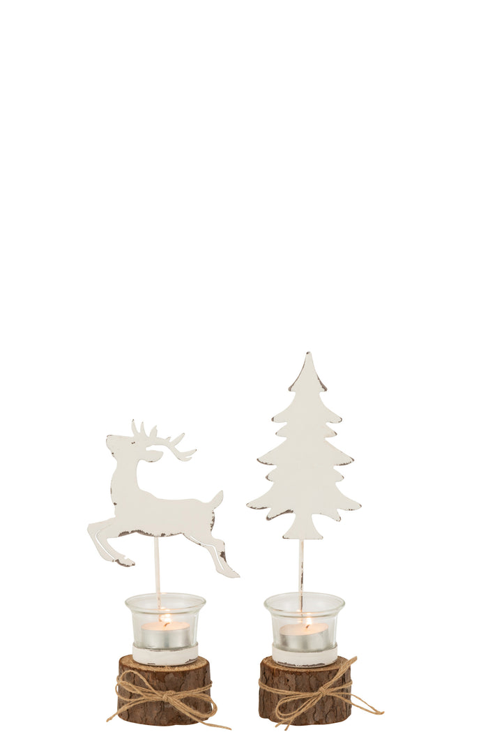 J-Line theelichthouder Boom|Rendier - glas|hout - wit|bruin