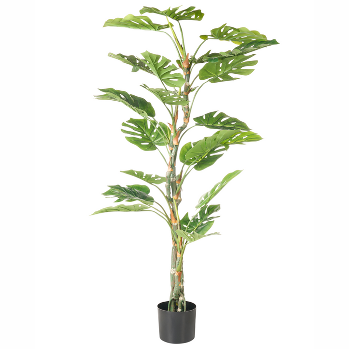 Beliani - MONSTERA - Kunstplant - Groen - 165 cm - Kunststof