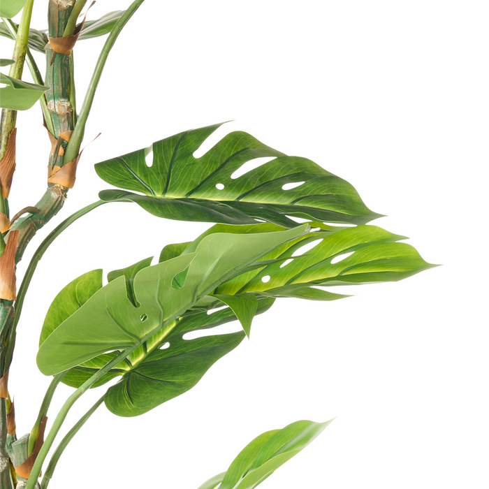 Beliani - MONSTERA - Kunstplant - Groen - 165 cm - Kunststof