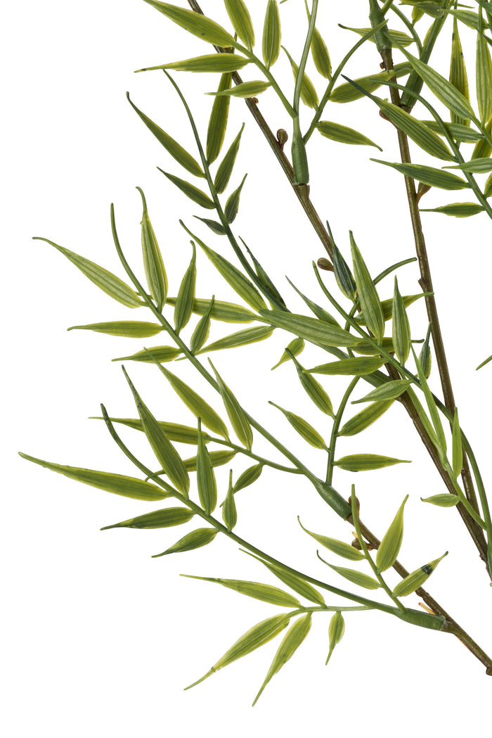 J-Line bamboetak Fijn 3 Delig - kunststof - groen - 12 stuks