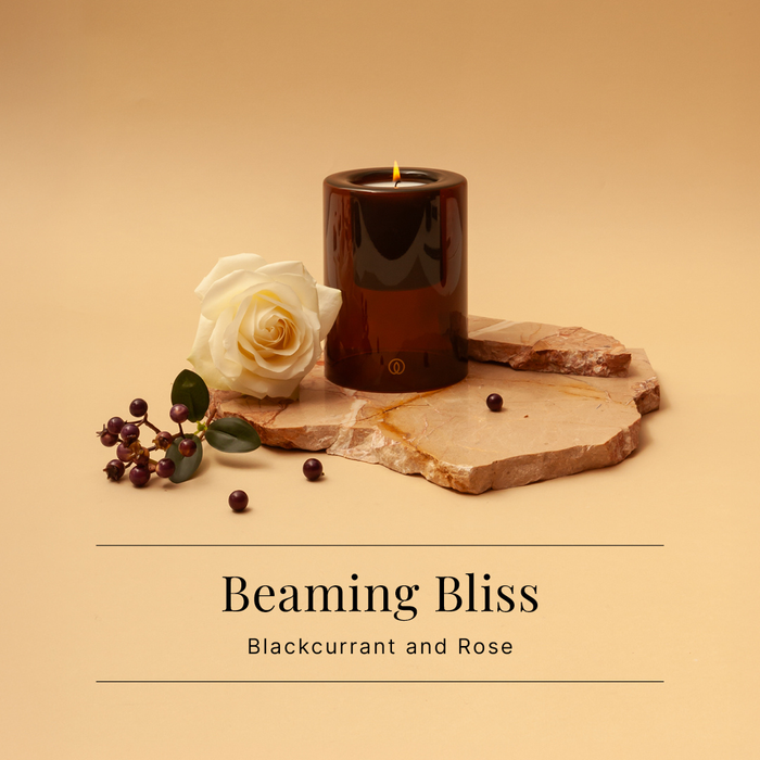 Spaas Refill Delight Geurkaars - Beaming Bliss - 40u - Set van 4