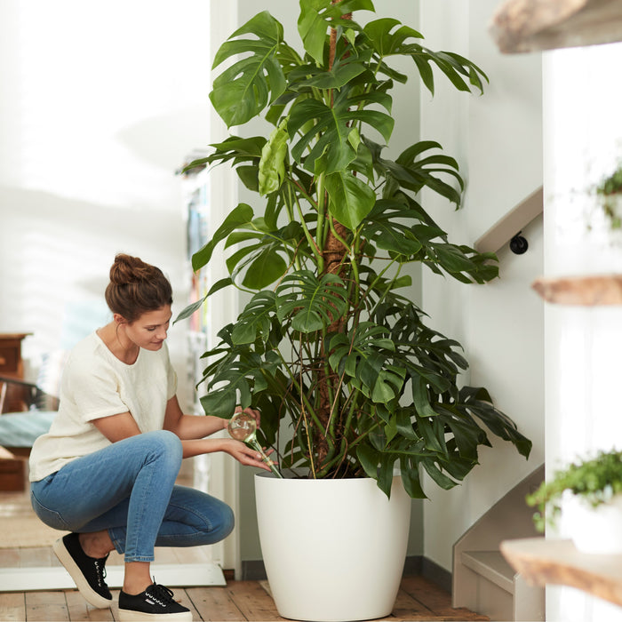 Elho Brussels Bloempot op Wielen 40 cm