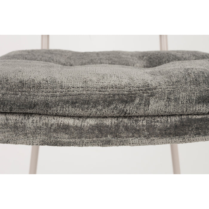 Housecraft Living Franck Eetkamerstoelen Velours Grijs - Set van 2