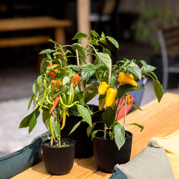 Capi Europe - Pot bol Groove 'made with' - 28x27 - Textiel zwart