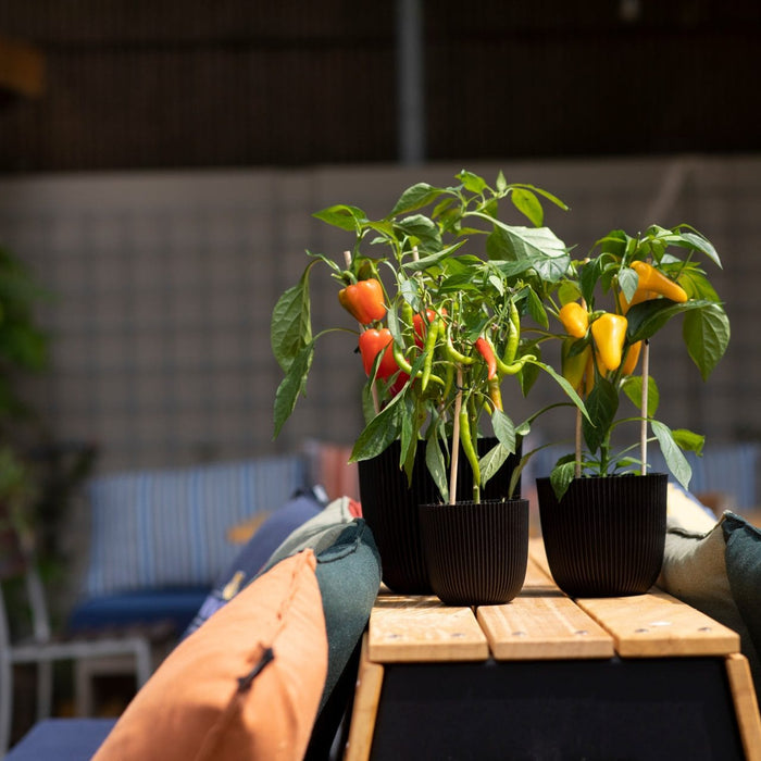 Capi Europe - Pot bol Groove 'made with' - 28x27 - Textiel zwart