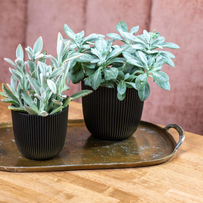 Capi Europe - Pot bol Groove 'made with' - 28x27 - Textiel zwart