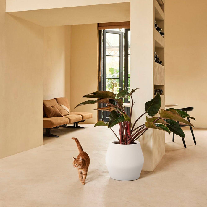 Elho June Split Low 46 - Linnen wit - Ø 46 x H 42 cm - Binnen en Buiten - 100% gerecycled kunststof