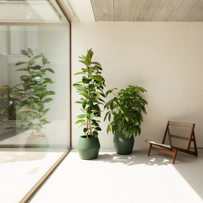 Elho June Split High 46 - Groen - Ø 46 x H 53 cm - Binnen en Buiten - 100% gerecycled kunststof