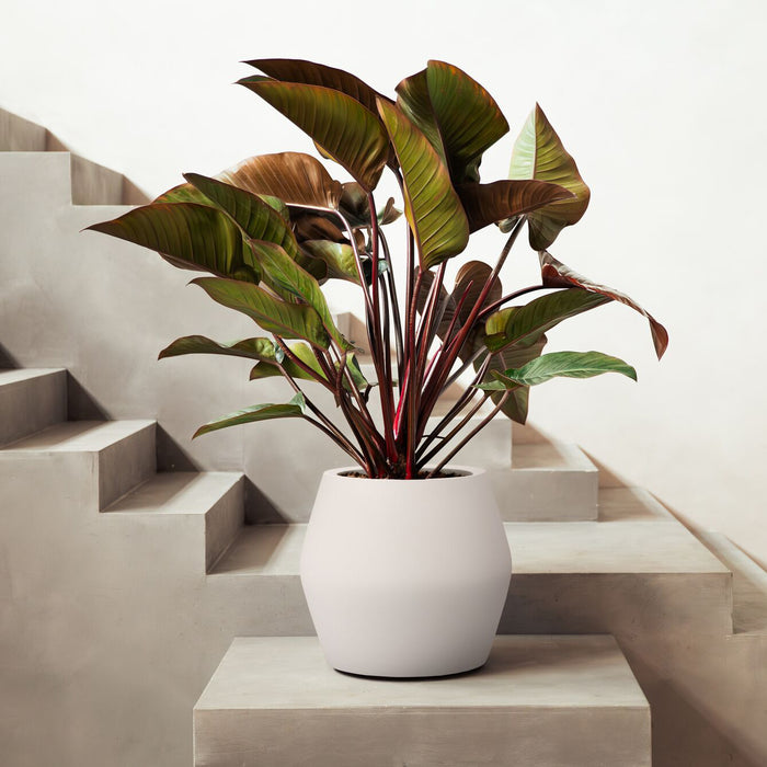 Elho June Split Low 46 - Linnen wit - Ø 46 x H 42 cm - Binnen en Buiten - 100% gerecycled kunststof