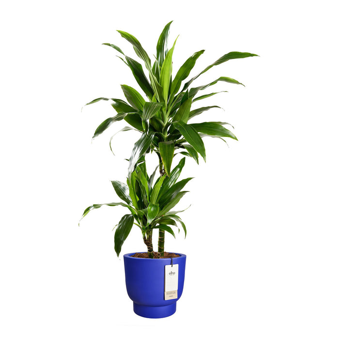 Elho Amber Grail 40 - Royal blue - Ø 38 x H 36 cm - Binnen en Buiten - 100% gerecycled