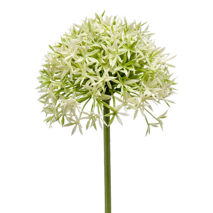 Fleurdirect Kunstbloem Allium - Groen - Polyester - 0x62x0cm (BxHxD)