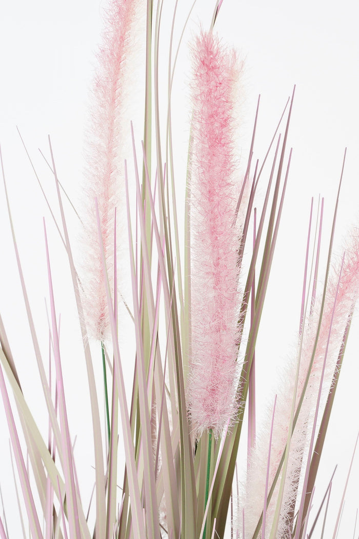 Mica Decorations Dogtail gras paars in pot d10cm - h53xd30cm