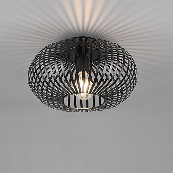 TRIO Johann Plafondlamp Ø 30 cm