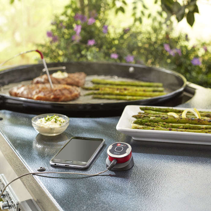 Weber iGrill Mini Digitale Thermometer