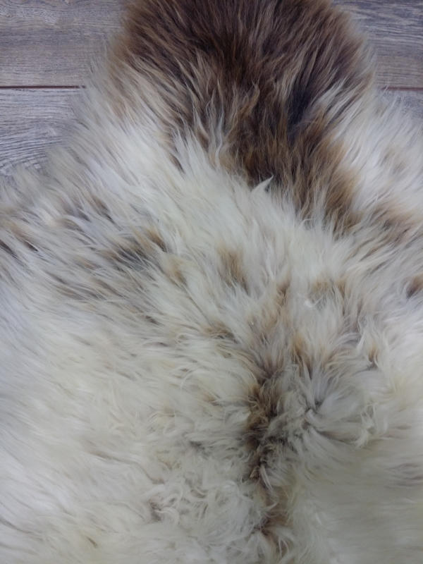 08b98057-94d5-44df-96c3-2280358a18f4-afbeelding4.jpg (1157721)