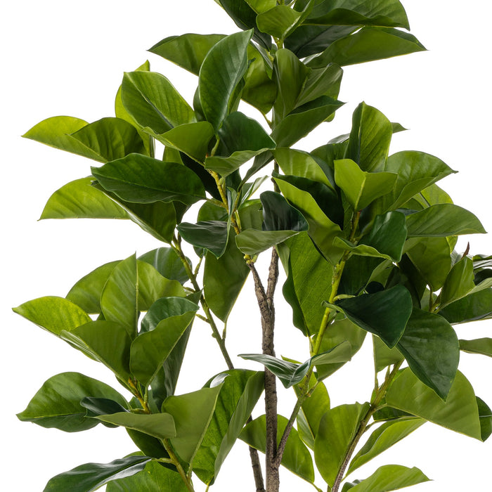 Fleurdirect Kunstplant Ficus Benghalensis - Groen - Kunststof