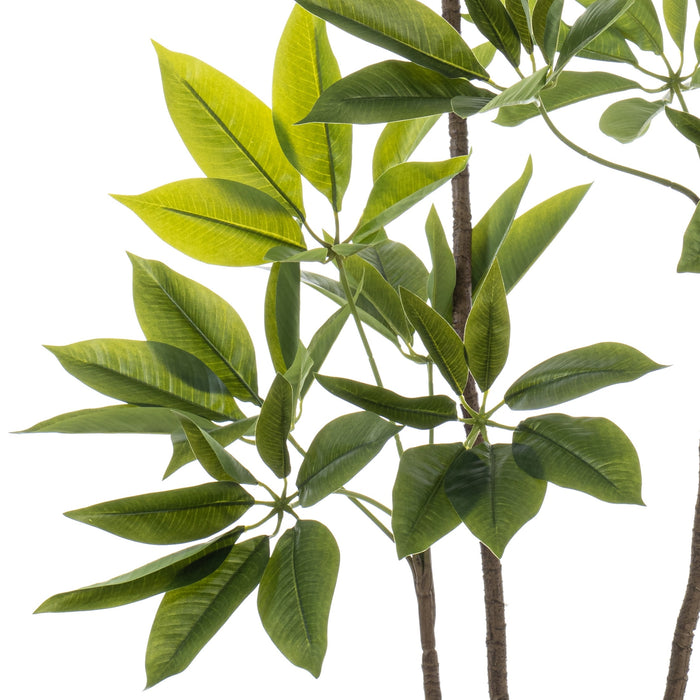 Fleurdirect Kunstplant Schefflera - Groen - Kunststof