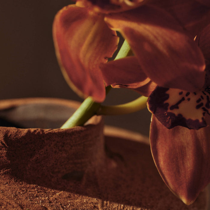 Ferm Living Evio Vaas H 22 cm - Burnt Umber