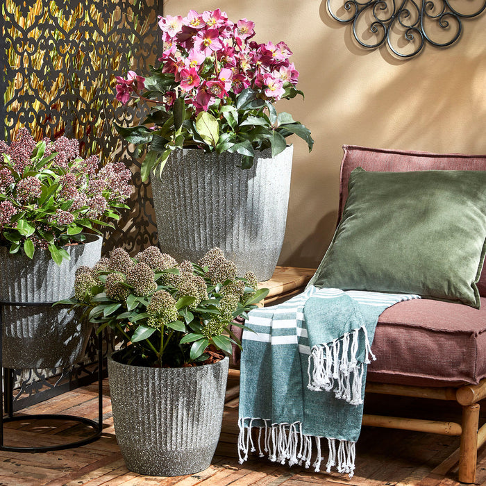 Mica Decorations Rio Bloempot