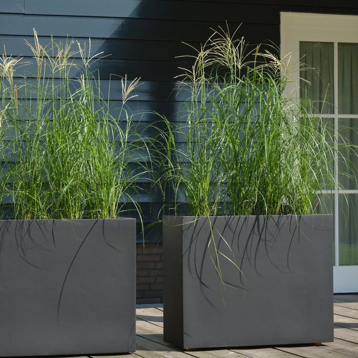 181071-x1.jpg (1202596)