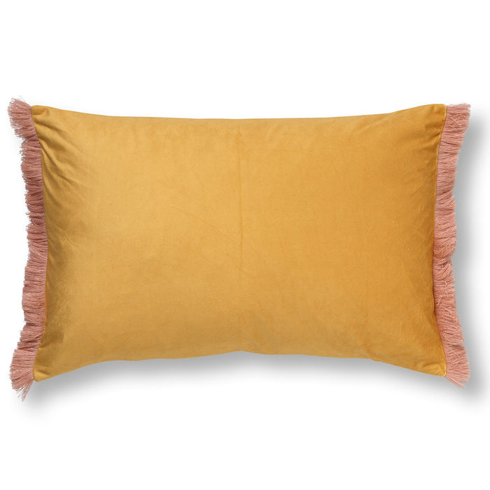 c6fbf01a-8a54-4a28-b821-f0ec9d27f6dd-afbeelding3.jpg (1225921)