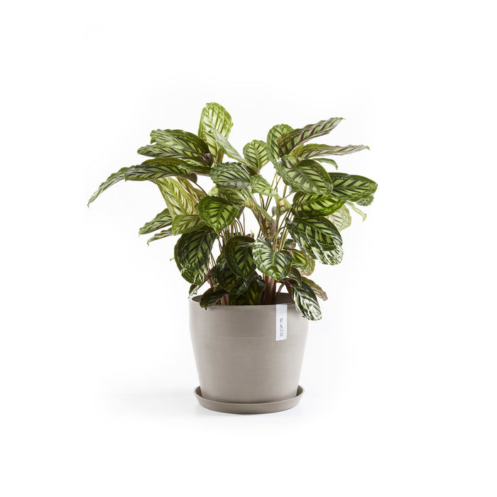Ecopots Sankara Bloempot Ø 40 cm - Taupe