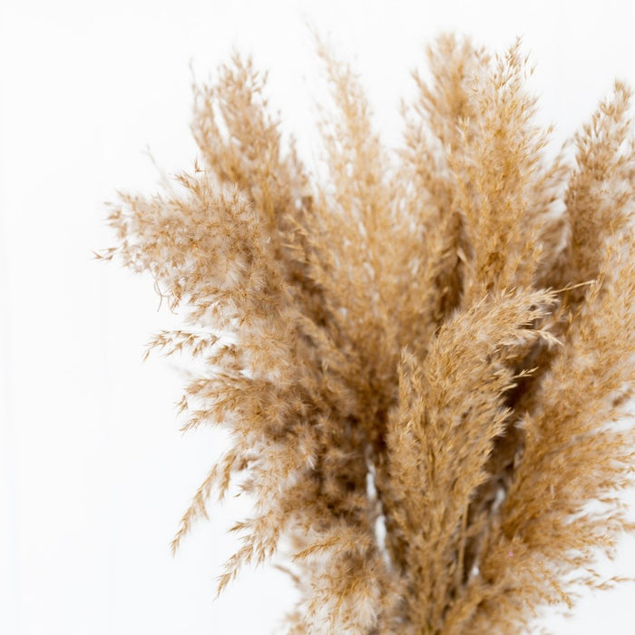 7d4d538f-6563-4a3d-b53d-e24e8df0cdc0-afbeelding4.jpg (1241807)