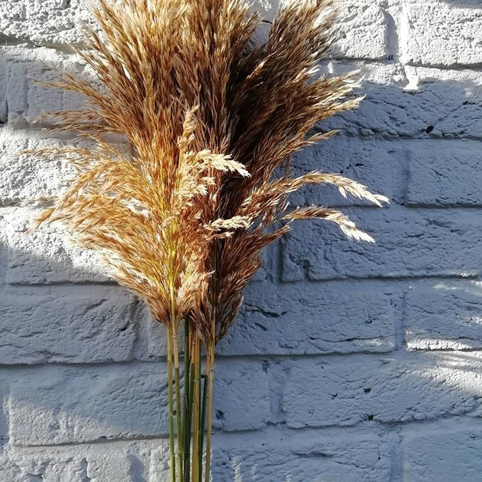 7d4d538f-6563-4a3d-b53d-e24e8df0cdc0-sfeerbeeld.jpg (1241809)