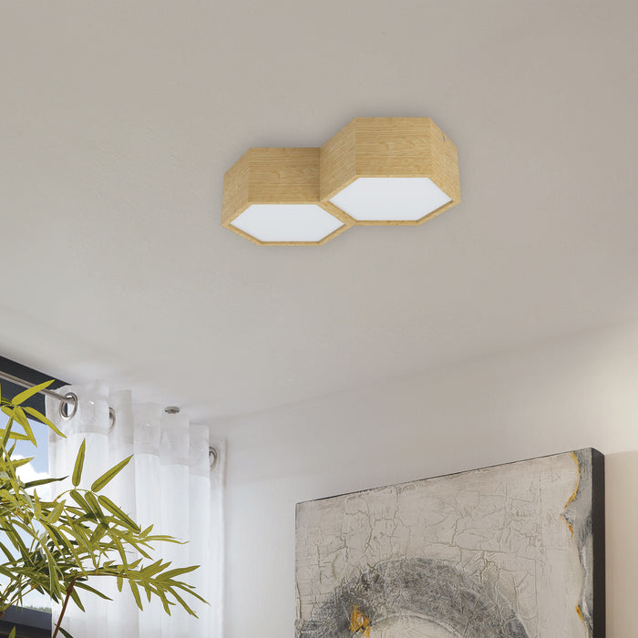 309098-x0.jpg (1245174)