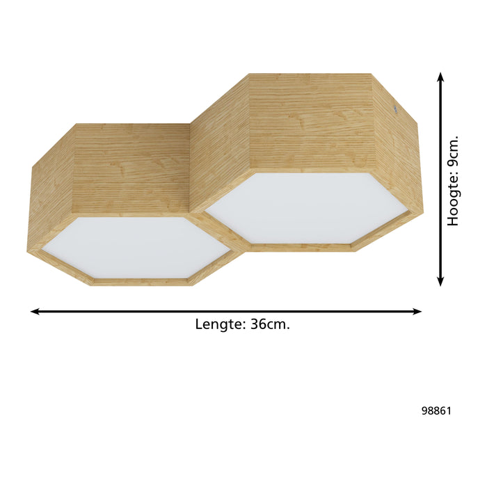 309098-x06.jpg (1245195)