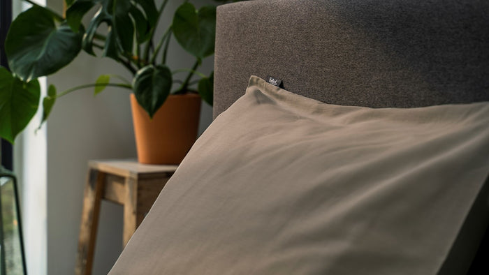 Beter Bed Select Dekbedovertrek Coco - 240 x 200|220 cm