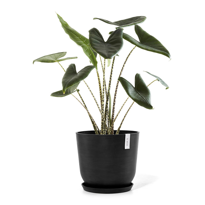 Ecopots Oslo Bloempot Ø 45 cm - Donkergrijs