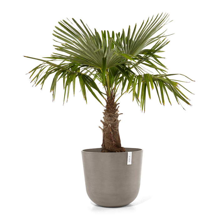Ecopots Oslo Pot Ø 55 cm - Taupe