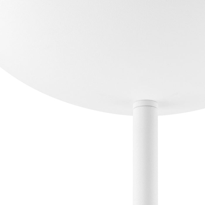 1d6010bc-3f83-4a1f-878f-b74973042a89-afbeelding7.jpg (1271647)