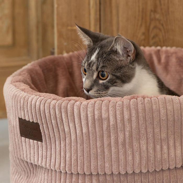 308175-x02.jpg (1297904)