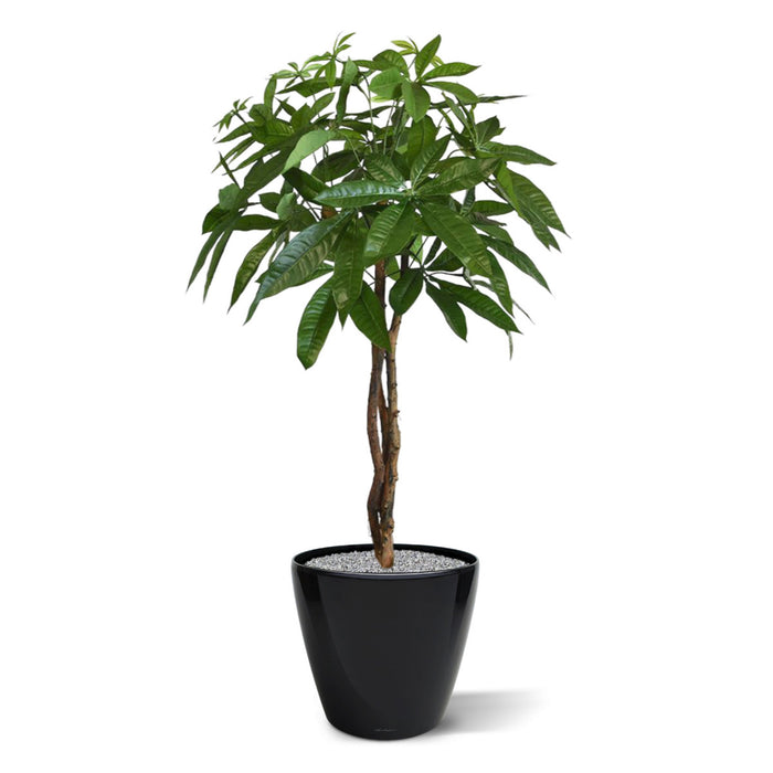 c70c4a18-35b7-4057-9d69-bd7925f99559-afbeelding3.jpg (1308792)